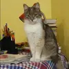 Отзыв от Анна Калмыкова